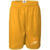 Pro Mesh 9" Shorts Thumbnail