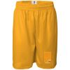Pro Mesh 9" Shorts Thumbnail