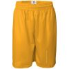 Pro Mesh 9" Shorts Thumbnail