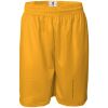 Pro Mesh 9" Shorts Thumbnail
